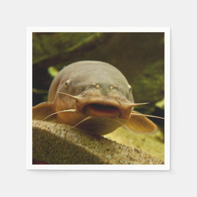 Guardanapo De Papel Peixe-gato elétrico (Frente)