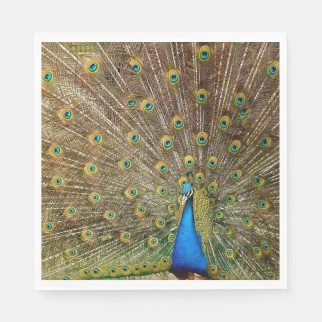 Guardanapo De Papel Penas da Cauda Peacock (Frente)