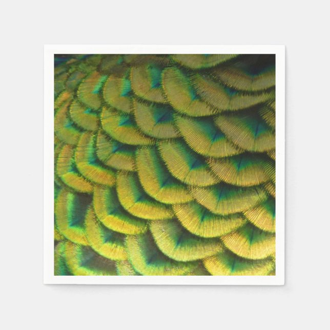 Guardanapo De Papel Penas de Peacock II Natureza Colorida (Frente)