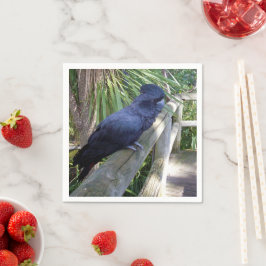 Guardanapo De Papel Penas Negras: Papagaio Negro Australiano