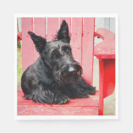 Guardanapo De Papel Pequeno Scottie em uma Grande Cadeira Vermelha