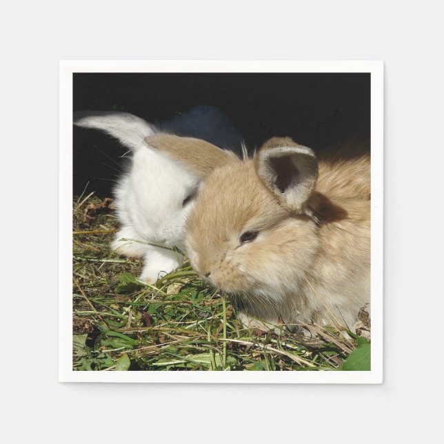 Guardanapo De Papel Pequenos coelhos fofos bonitos (Frente)