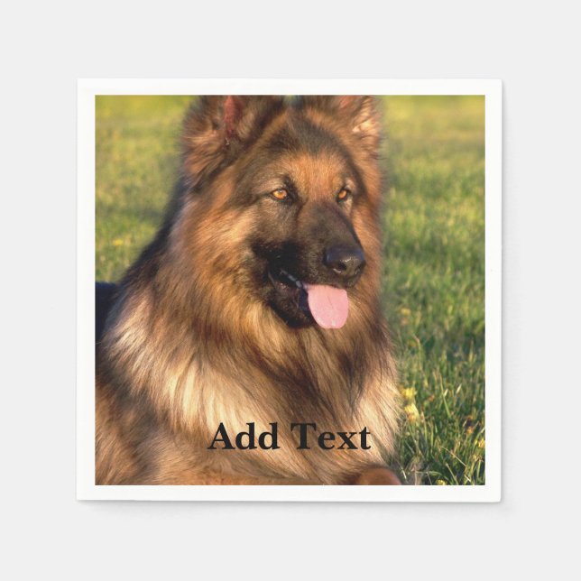 Guardanapo De Papel Personalizada Foto e Texto (Frente)