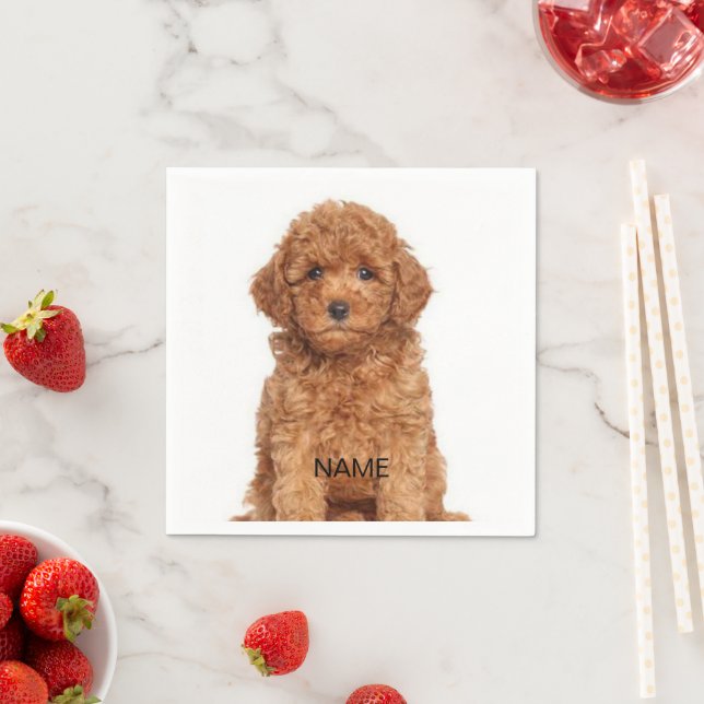 Guardanapo De Papel Personalizar com foto, nome, texto (Insitu)