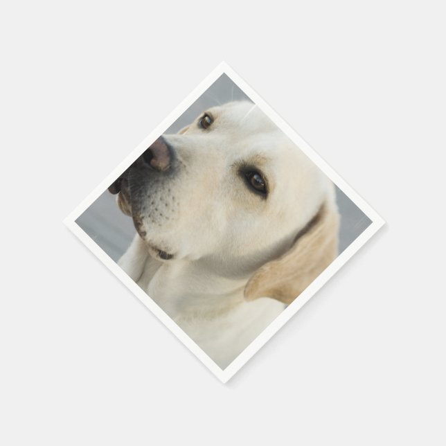 Guardanapo De Papel Personalizar produto (Canto)