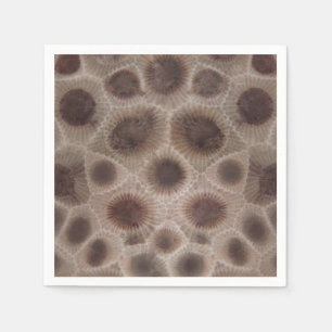 Guardanapo De Papel Petoskey Stone Michigan State stone fóssil