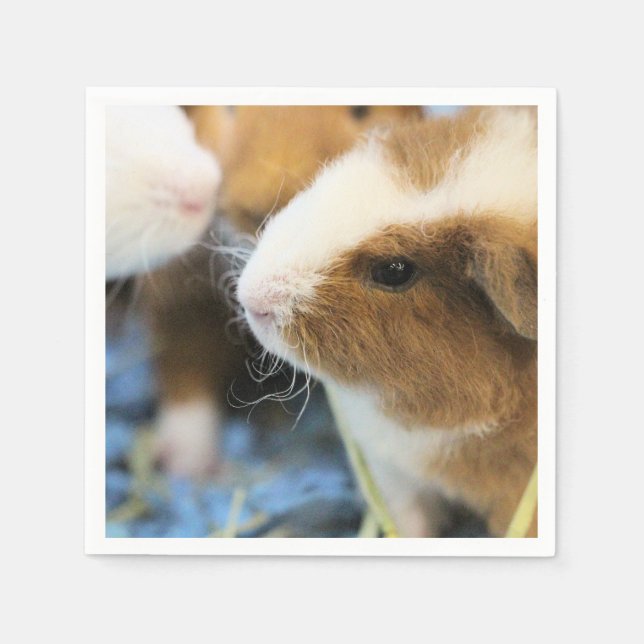 Guardanapo De Papel Piggy (Frente)