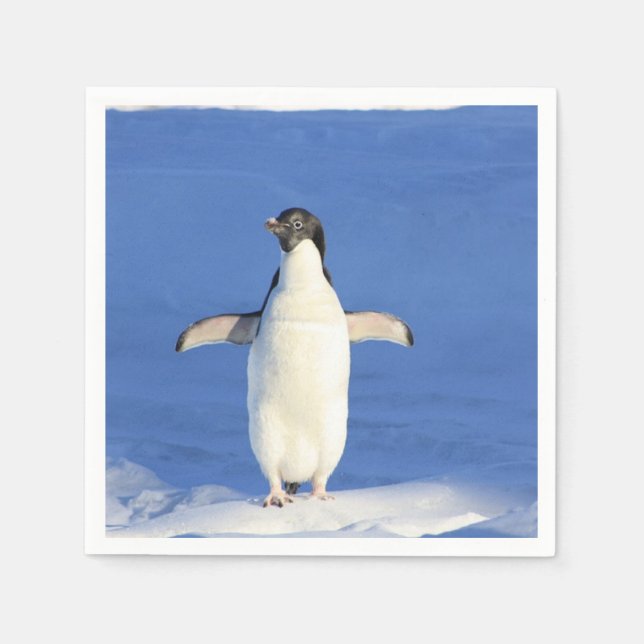 Guardanapo De Papel Pinguim engraçado no gelo (Frente)