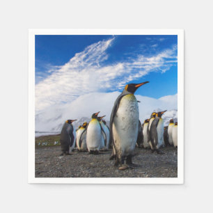 Guardanapo De Papel Pinguins Marching Blue Sky