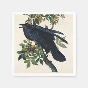 Guardanapo De Papel Pintura Clássica de Ave da Audubon Raven