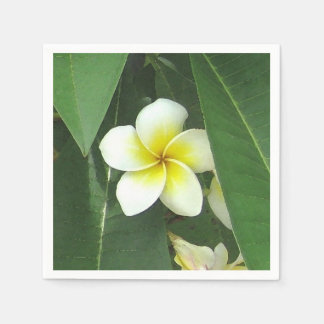 Guardanapo De Papel Plumeria Extreme