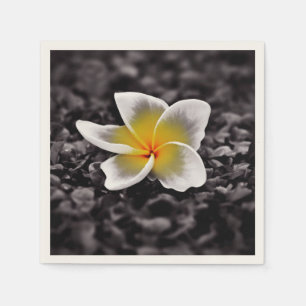Guardanapo De Papel Plumeria Frangipani Hawaii Flower