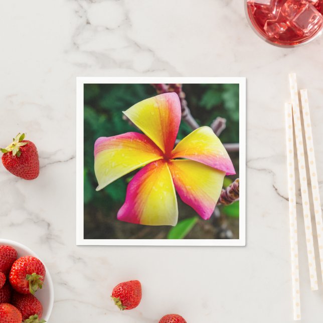 Guardanapo De Papel Plumeria rubra (Insitu)