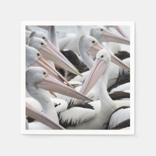 Guardanapo De Papel Pod de Pelicanos