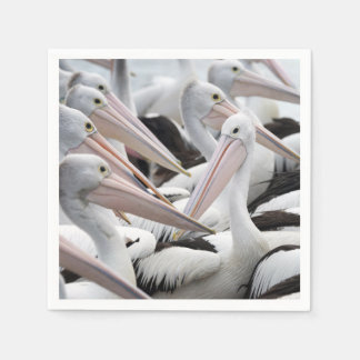 Guardanapo De Papel Pod de Pelicanos