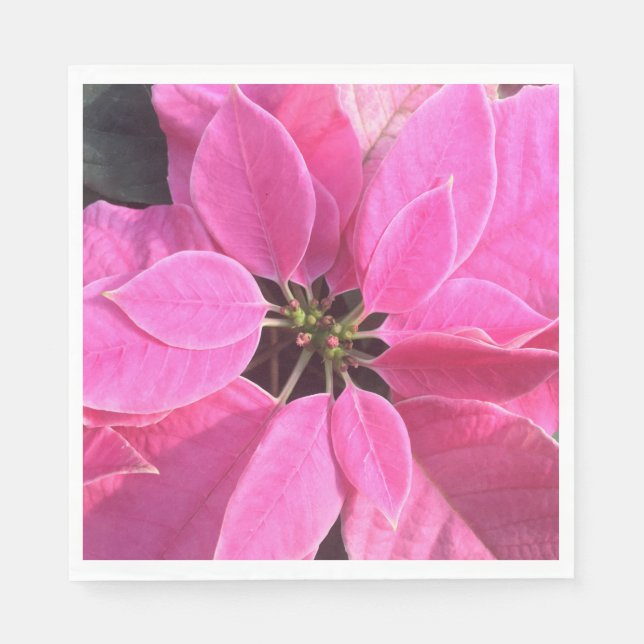 Guardanapo De Papel Poinsettia de Férias Felizes (Frente)