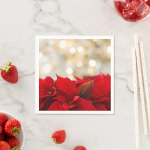 Poinsettia de Natal