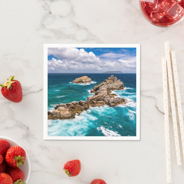 Guardanapo De Papel Ponta de Chateaux, Grande-Terre, Guadalupe #2 (Insitu)