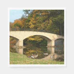 Guardanapo De Papel Ponte do arco-íris em queda livre no Grove City C
