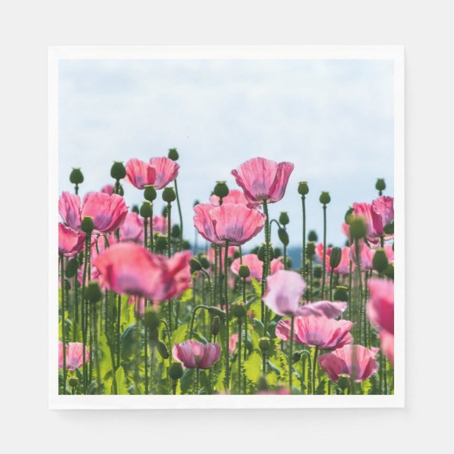 Guardanapo De Papel Poppies Rosa (Frente)