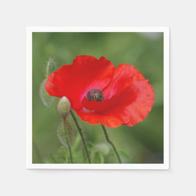 Guardanapo De Papel Poppy Paper Napkins (Frente)