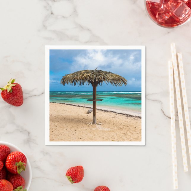 Guardanapo De Papel praia de Anse des Rochers (Insitu)