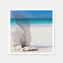 Praia de Vida Estável