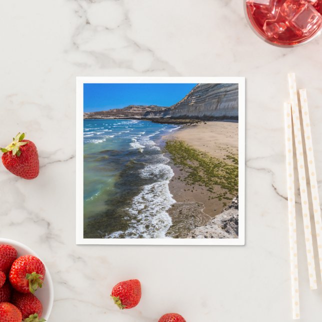 Guardanapo De Papel Praia em Puerto Piramides, Argentina (Insitu)