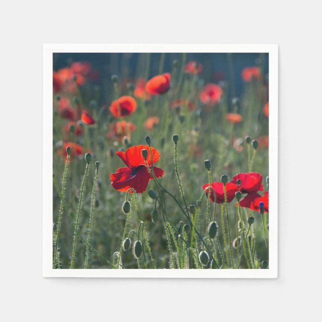 Guardanapo De Papel Pretty Poppies in Wild Meadow Photo (Frente)
