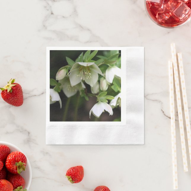 Guardanapo De Papel Primavera Floral Paper Napkin (Insitu)