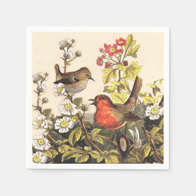 Guardanapo De Papel Primavera Robin Birds Red Birds (Frente)