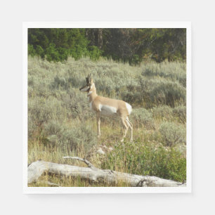 Guardanapo De Papel Pronghorn no Grand Teton National Park