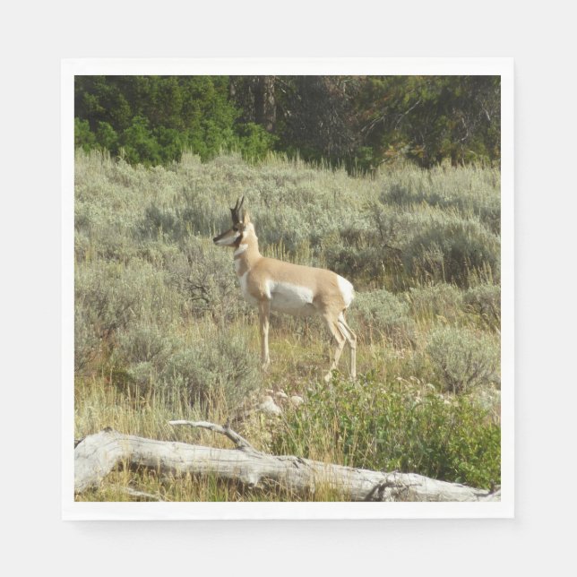 Guardanapo De Papel Pronghorn no Grand Teton National Park (Frente)