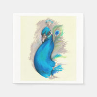Proud Peacock