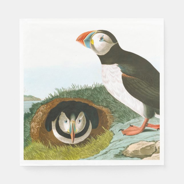 Guardanapo De Papel Puffin por John James Audubon (Frente)