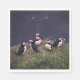 Guardanapo De Papel Puffins Atlântico