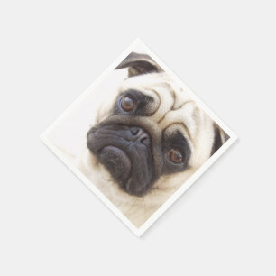 Guardanapo De Papel pug-7