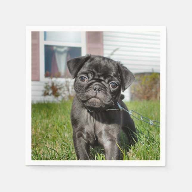 Guardanapo De Papel Pug preto cachorrinho (Frente)