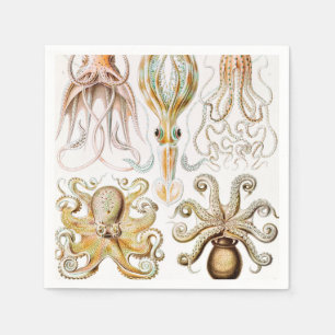 Guardanapo De Papel Pula de Octopus, Gamochonia por Ernst Haeckel