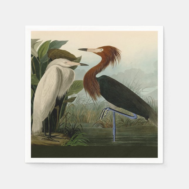 Guardanapo De Papel Púrpura Heron Audubon Bird Willife Painting (Frente)