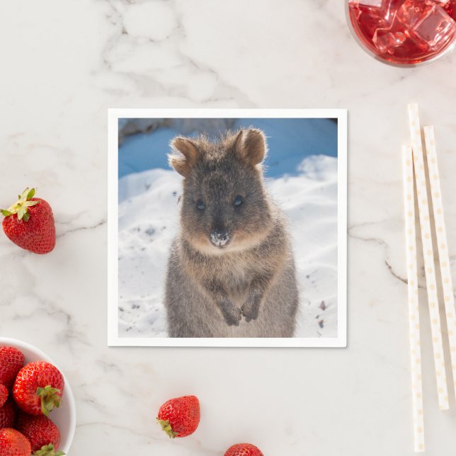 Guardanapo De Papel Quokka on the beach in Australia, cute photo (Insitu)