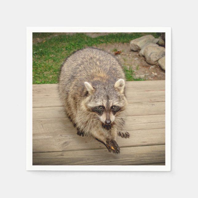Guardanapo De Papel Raccoon com chip (Frente)