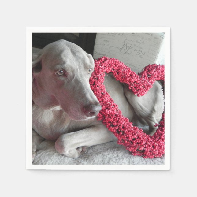 Guardanapo De Papel Rain's Love - Weimaraner Dog Napkins (Frente)
