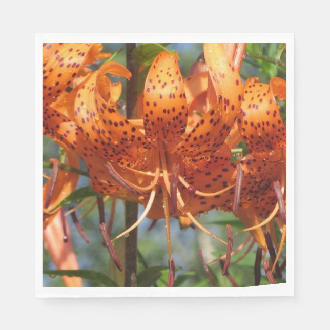 Guardanapo De Papel Rainy Day Tiger Lily (Frente)