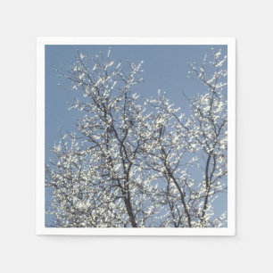 Guardanapo De Papel Ramos gelados no céu azul do inverno