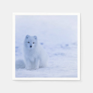 Guardanapo De Papel Raposa Árctica Cute em Inverno de Neve