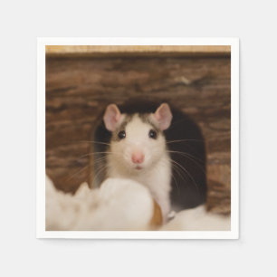 Guardanapo De Papel Rato Cujo