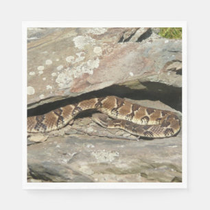 Guardanapo De Papel Rattlesnake no Parque Nacional de Shenandoah
