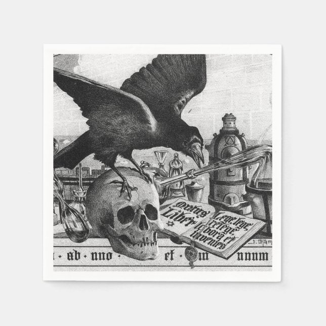 Guardanapo De Papel Raven e crânio humano (Frente)