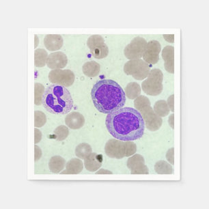 Guardanapo De Papel rbcs wbcs slide laboratório microscópio hematologi